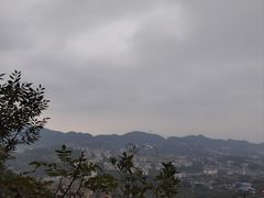 -南山植物园