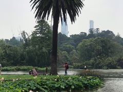 -墨尔本皇家植物园