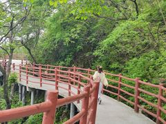 -老君山风景名胜区