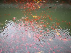 -龙潭水乡