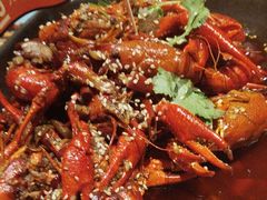 -馋嘴猫北京食堂·烤鸭·宵夜(亚运村店)