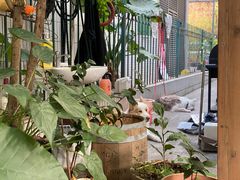 -豆舞咖啡(民乐路店)