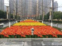 -郑和公园