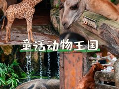 -长鹿旅游休博园