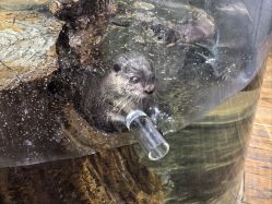 -Zoolung Zoolung动物主题公园(海信广场店)