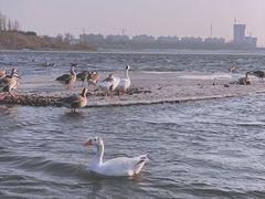 -沈阳鸟岛