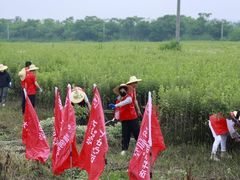-裕和堂中医推拿艾灸(太古汇臻品店)