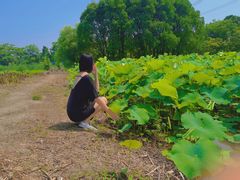 -梁鸿国家湿地公园