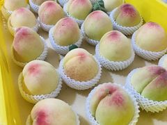 -老袁家蜜桃农场·阳山水蜜桃