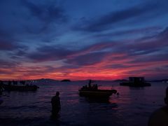 -广东惠东海龟国家级自然保护区