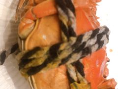 -新发展亚太JW万豪酒店·福苑咖啡厅