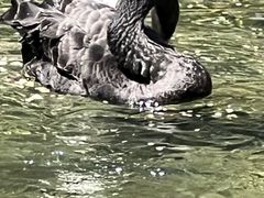-水磨沟公园
