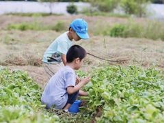 -前小桔亲子创意农场·草莓采摘·露营烧烤