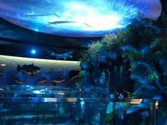 -陕西自然博物馆