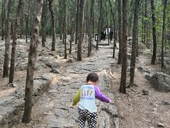 -云龙山