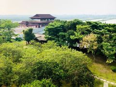-大湾区中央湿地公园
