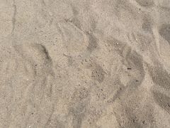 -碧海银沙景区