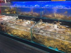 -苏格里岛自助烤肉海鲜火锅(成都金牛万达店)