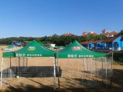 android_upload_pic-青岛第二海水浴场