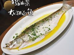 -二泉园老菜馆·百年无锡菜