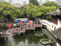 -绿波廊(豫园店)