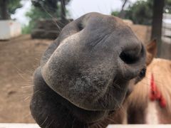 -酷鱼垂钓CLUB(朝阳区博大路店 )