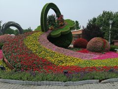 -大兴滨河森林公园