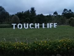 -三圣花乡旅游区