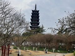 -上海方塔园