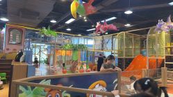 -卡通尼乐园(宝山龙湖天街店)