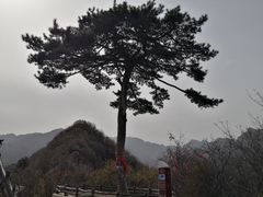 -秦岭终南山世界地质公园翠华山景区