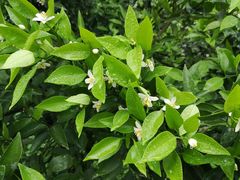 -樱桃山旅游景区