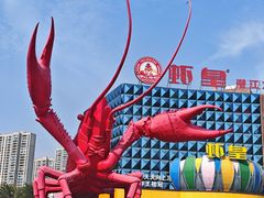 -虾皇(龙虾城旗舰店)