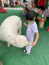 -萌宠亲子动物乐园(槐房万达店)