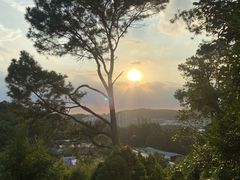 -火炉山森林公园