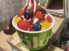 -Salud撒露欧洲冻酸奶(北苑上品店)