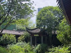 -天一阁博物院