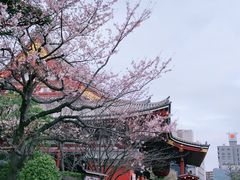 -东京浅草和服体验江户和装工房雅(浅草本店)