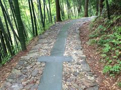 -东天目山风景区