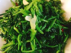 萝卜菜苗-董厨煨汤馆(车站路店)