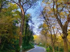 -南京老山国家森林公园