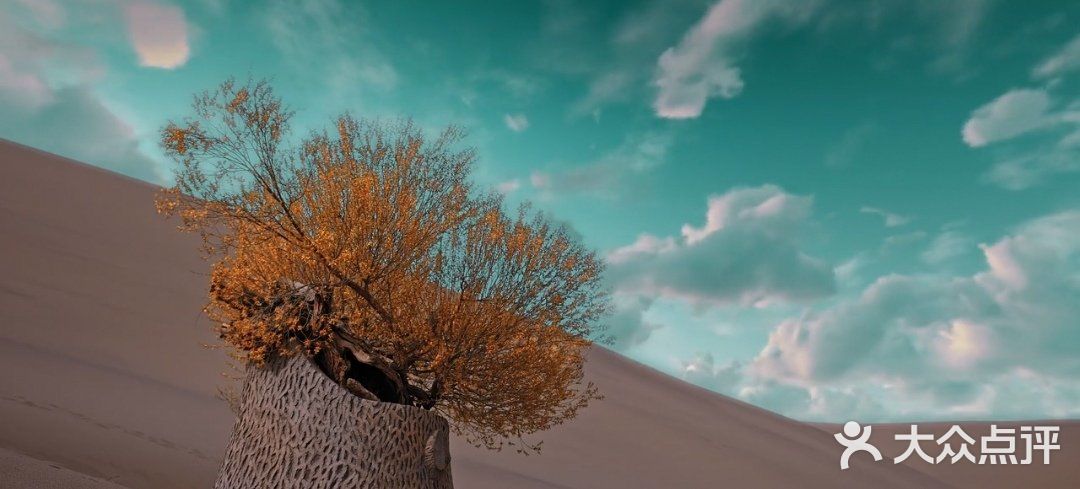 沙漠奇观 叹为观止