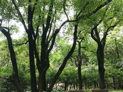 -徐家汇源景区-衡山公园