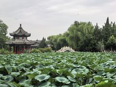 -莲池书院博物馆