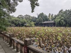 -房湖公园