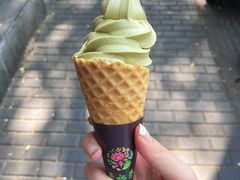 花茶冰淇淋-吴裕泰(雍和宫店)