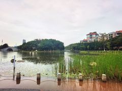 -映月湖公园