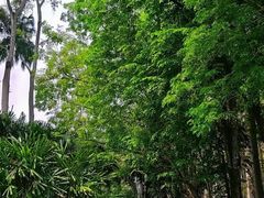 -中国科学院西双版纳热带植物园