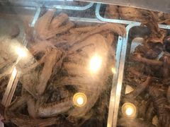 -北京王府井烤鸭(泰兴店)