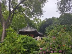 -环城公园